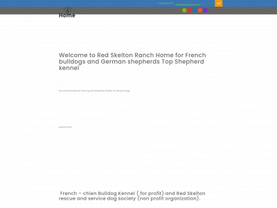 frenchienbulldog.com snapshot