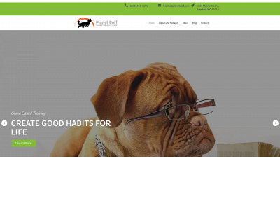 ruffhousedogtraining.com snapshot