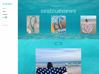 www.seablueviews.com snapshot