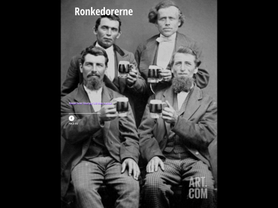 ronkedorerne.dk snapshot