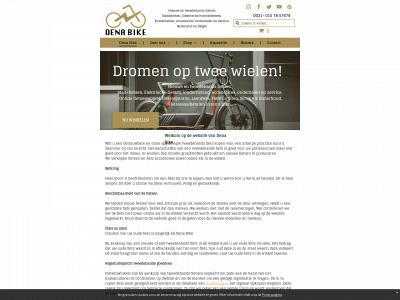 denabike.com snapshot