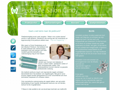 nagelreparatie.nl snapshot