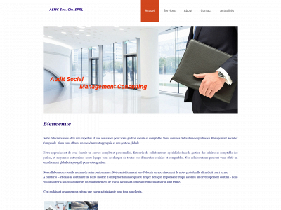auditsocialmanagementconsulting.be snapshot