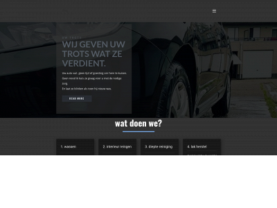 protectdetailing.be snapshot