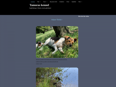 tamoraskennel.se snapshot