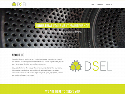 dselja.com snapshot