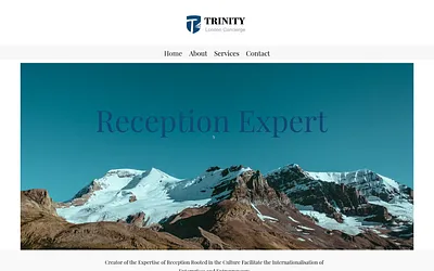 trinityconcierge.co.uk snapshot