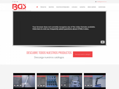 bgstechnic.mx snapshot