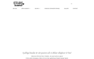 starsnbubbles.se snapshot