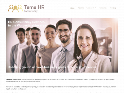 temehr.co.uk snapshot