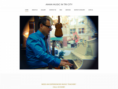 www.northvanmusicacademy.ca snapshot