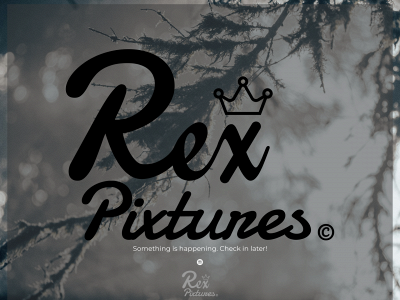 rexpixtures.nl snapshot