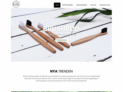 brushbud.se snapshot