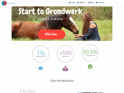 mirrorhorses.com snapshot