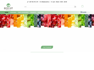 ecovit.ro snapshot