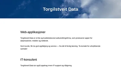 torgilstveitdata.no snapshot