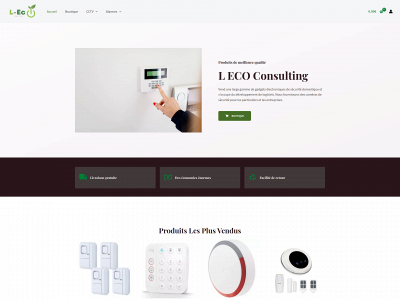 l-eco-consulting.fr snapshot