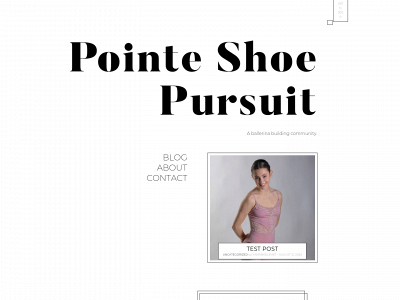 pointeshoepursuit.com snapshot