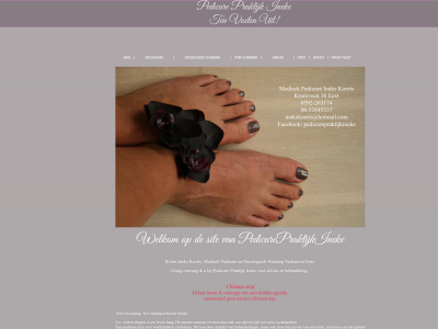 pedicurepraktijkineke.nl snapshot