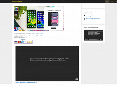 dropbiding.com snapshot