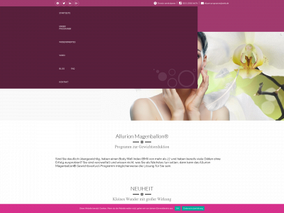 allurion-magenballon.de snapshot