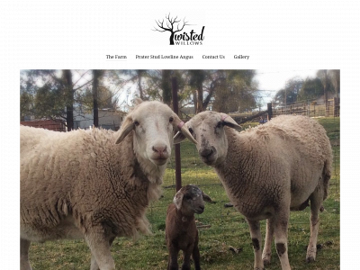 twistedwillows.com.au snapshot