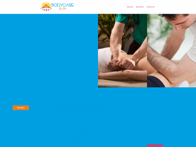 bodycarebygabe.com snapshot