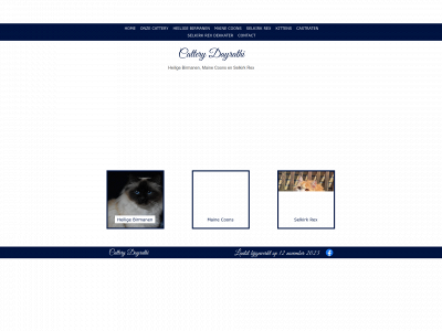 dayrathi.nl snapshot