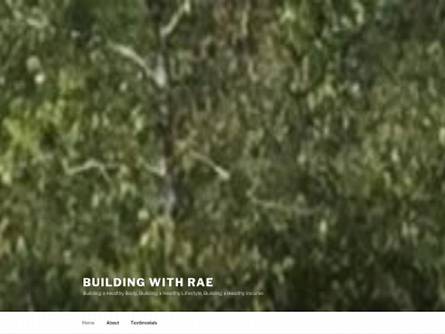 buildingwithrae.com snapshot