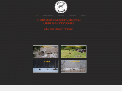 okersbohundskola.se snapshot