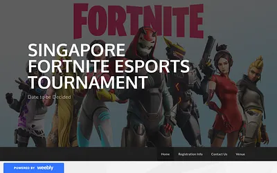 sgfortnite.weebly.com snapshot