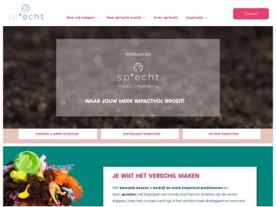 spechtmarketing.com snapshot