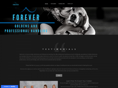 www.foreverhandling.com snapshot