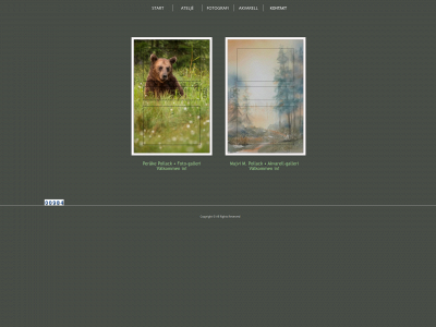 pollack.se snapshot