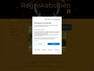 regnskabsbien.dk snapshot