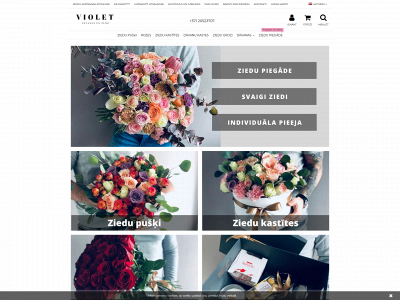 violet.lv snapshot