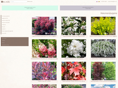 pasarnolda.lt snapshot