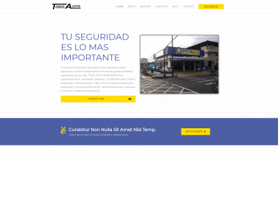 todoautotecnicentro.com snapshot