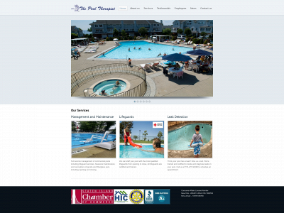 pooltherapist.com snapshot