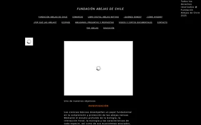 www.abejasdechile.com snapshot