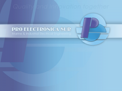 www.proelsur.com snapshot