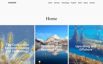 seawiser.com snapshot