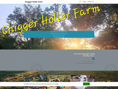 chiggerhollerfarm.com snapshot