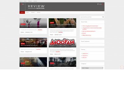reviewmt.com snapshot
