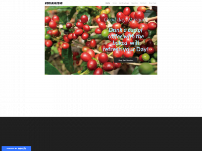 morganatbnc.weebly.com snapshot