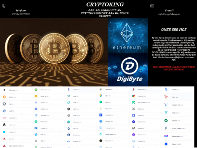 cryptoking.be snapshot