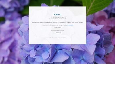 kasvu.dk snapshot