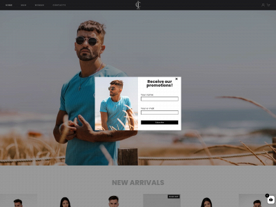 www.icwearbrand.com snapshot