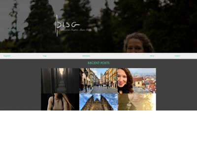 disg.blog snapshot