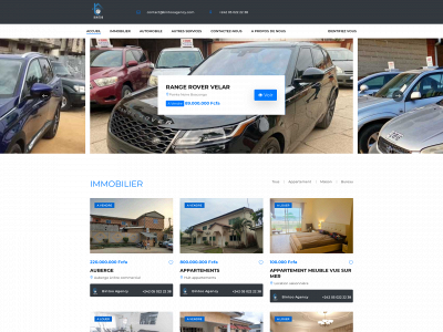 bintooagency.com snapshot